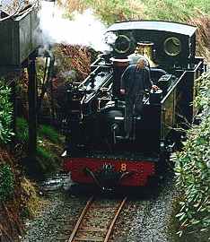 Vale of Rheidol Railway